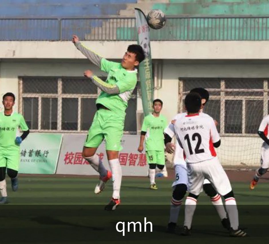 qmh概况
